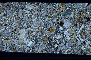 Cross Polarized, S99099