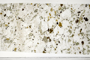 Plane Polarized, S99099