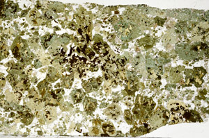 Plane Polarized, S99137