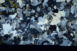 Cross Polarized, S99138