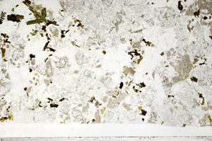 Plane Polarized, S99138