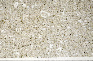 Plane Polarized, S99140