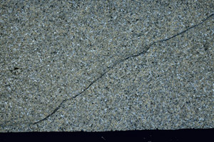 Cross Polarized, S99141