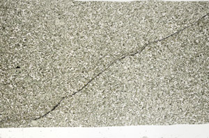Plane Polarized, S99141