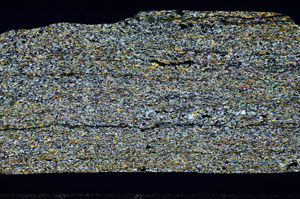 Cross Polarized, S99142