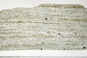 Plane Polarized, S99142