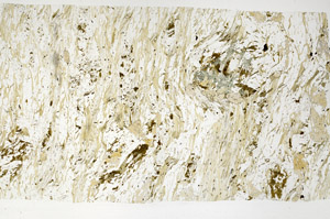 Plane Polarized, S99144