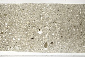 Plane Polarized, S99155