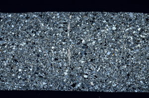 Cross Polarized, S99170