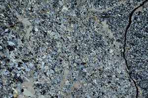 Cross Polarized, S99221