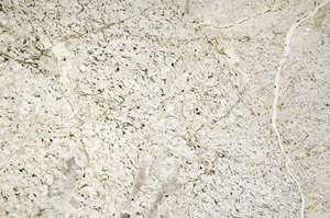 Plane Polarized, S99221