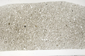 Plane Polarized, S99277