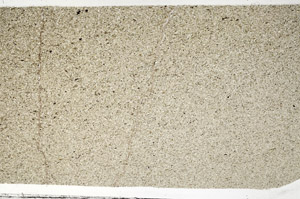 Plane Polarized, S99283