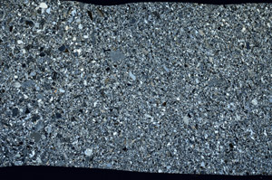 Cross Polarized, S99316