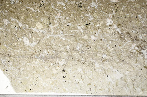 Plane Polarized, S99327