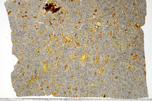 Plane Polarized, S99345