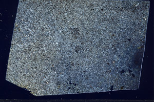 Cross Polarized, S99353