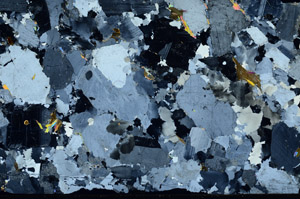 Cross Polarized, S99394