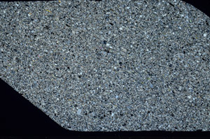 Cross Polarized, S99415