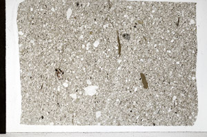 Plane Polarized, S99417