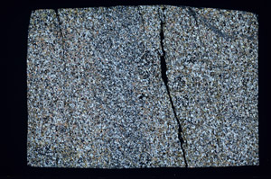 Cross Polarized, S99449