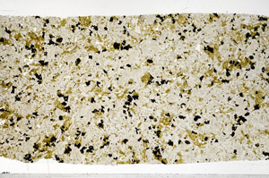 Plane Polarized, S99505