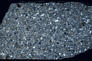 Cross Polarized, S99506