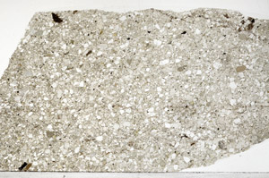 Plane Polarized, S99506