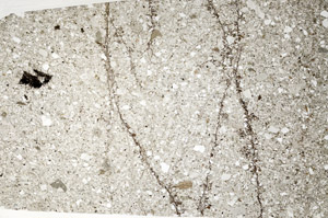 Plane Polarized, S99507