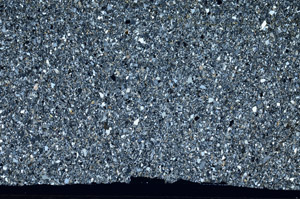 Cross Polarized, S99508