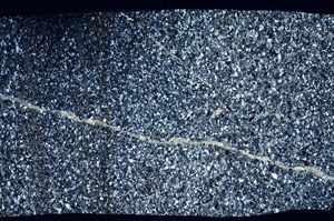 Cross Polarized, S99509