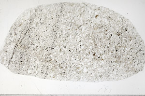 Plane Polarized, S99510