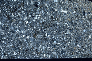 Cross Polarized, S99512