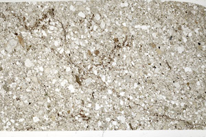 Plane Polarized, S99512