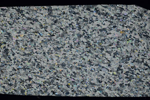 Cross Polarized, S99562