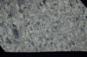 Cross Polarized, S99563