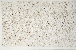 Plane Polarized, S99708