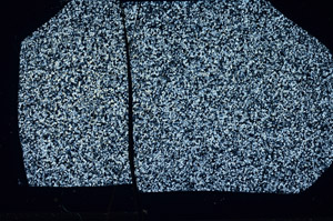 Cross Polarized, S99758