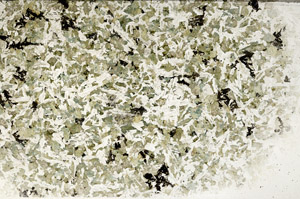 Plane Polarized, S99887