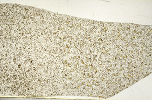 Plane Polarized, S99528