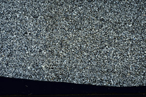 Cross Polarized, S99530