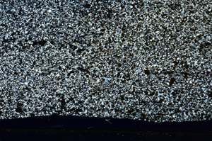Cross Polarized, S99531