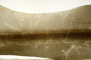 Plane Polarized, S99537