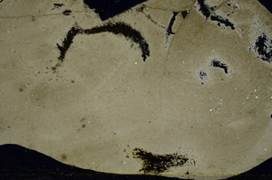 Cross Polarized, S99538