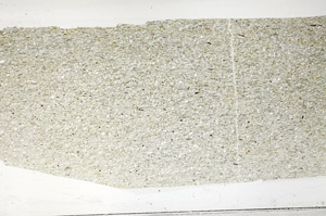 Plane Polarized, N951