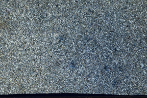 Cross Polarized, N958