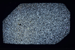 Cross Polarized, N1068