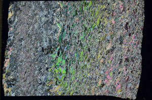 Cross Polarized, N1082