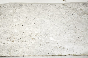 Plane Polarized, N1088