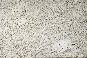 Plane Polarized, N1091